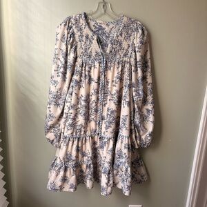 Entro Blue and White toile dress cottagecore